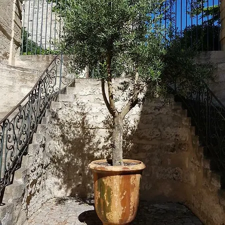 Appartement Dans Hotel De Flaux Uzes Exterior photo